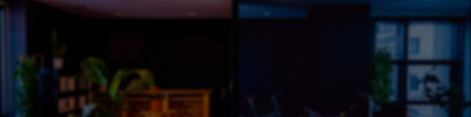 bg_kv
